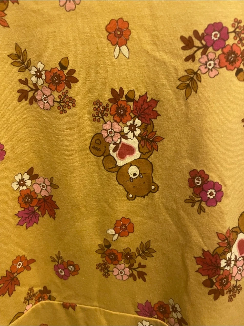 Care Bears Girls Tenderheart Floral Skater Dress L 10/12 NWT
